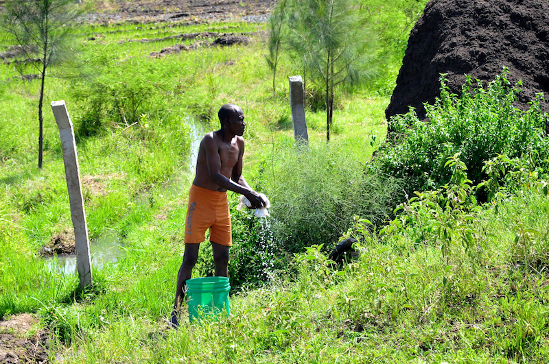 Melanie Heinrich - Travel Images - Nairobi Kenya -Arusha, Tanzania